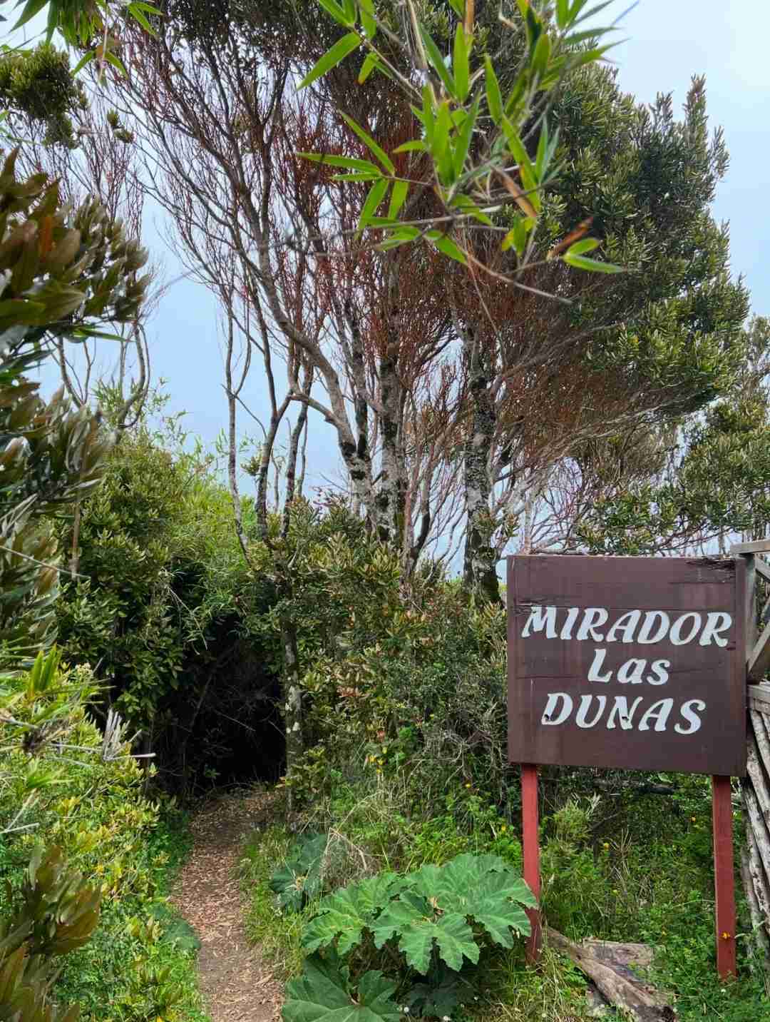 What's the Best Self-Guided Tour Route for Budget Travel in Chiloé Island?