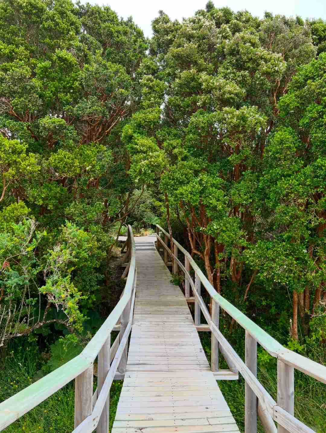 What's the Best Self-Guided Tour Route for Budget Travel in Chiloé Island?