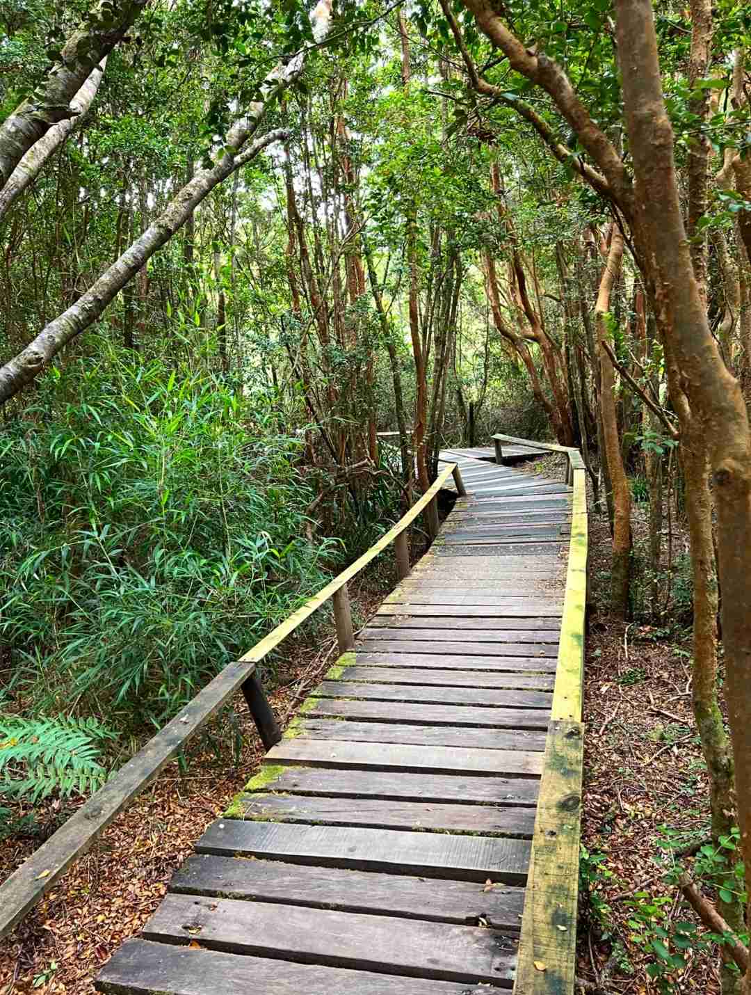 What's the Best Self-Guided Tour Route for Budget Travel in Chiloé Island?