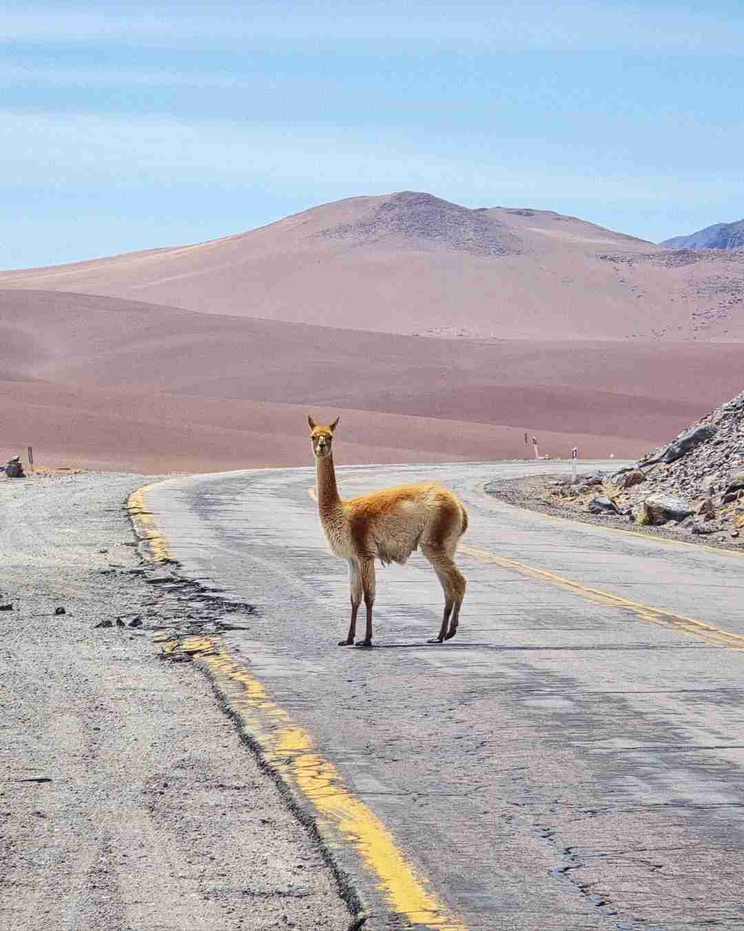 What's the Best Self-Guided Tour Route in Atacama for Budget Travel?