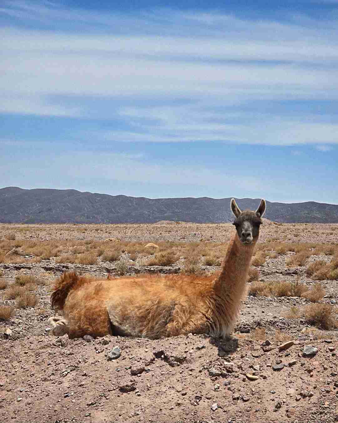 What's the Best Self-Guided Tour Route in Atacama on a Budget?
