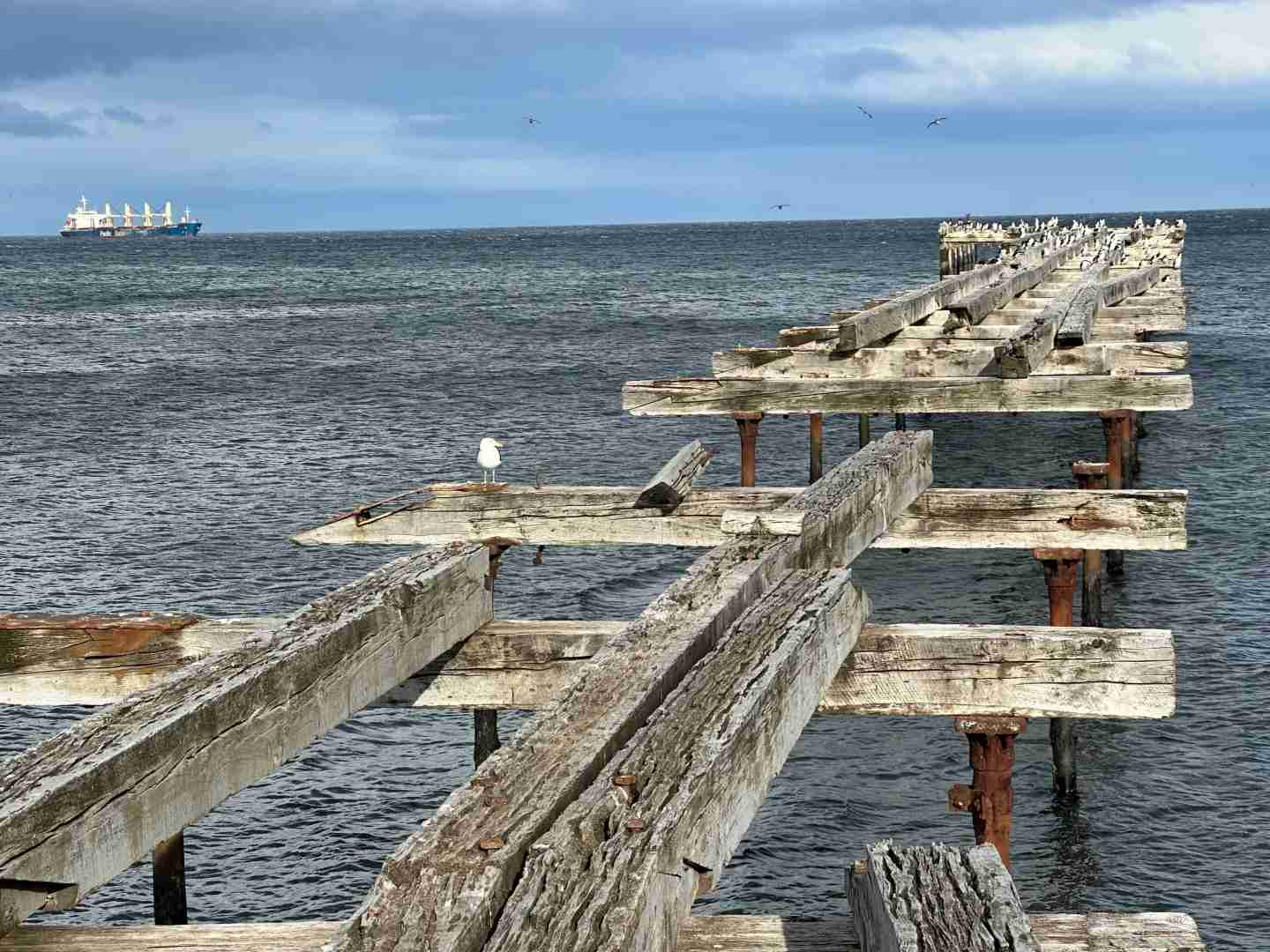 What's the Best Self-Guided Tour for Clear Skies and Rainbows in Punta Arenas?