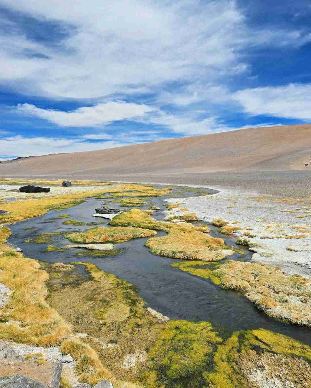 What's the Best Self-Guided Tour of Atacama Desert Wetlands on a Budget?