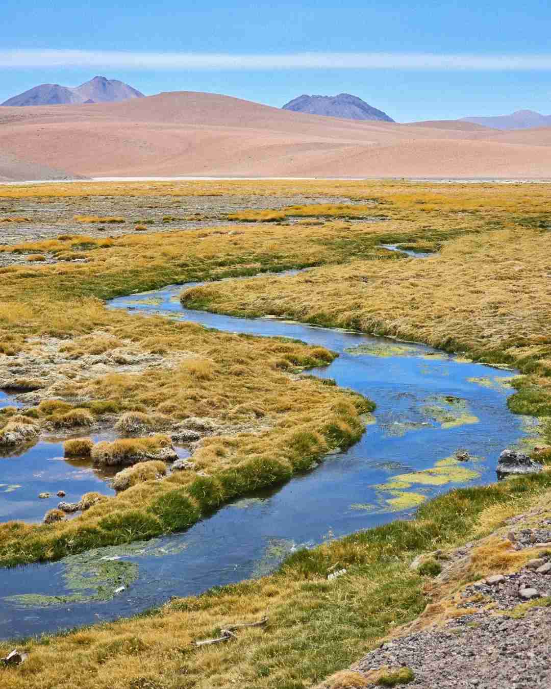 What's the Best Self-Guided Tour of Atacama Desert Wetlands on a Budget?