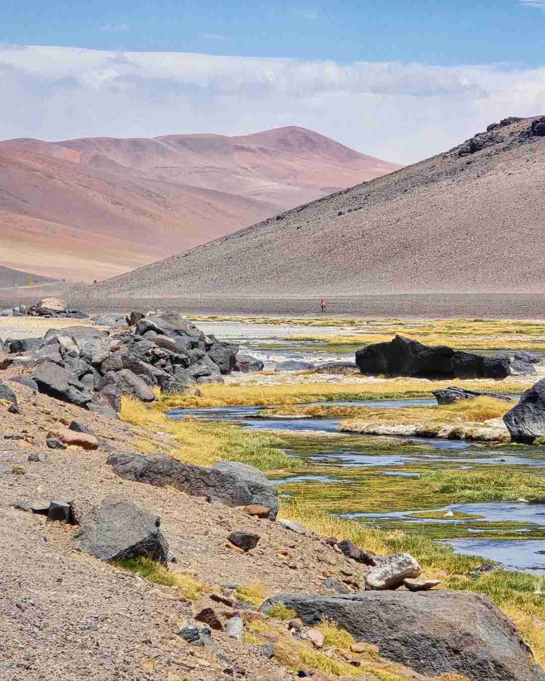 What's the Best Self-Guided Tour of Atacama Desert Wetlands on a Budget?