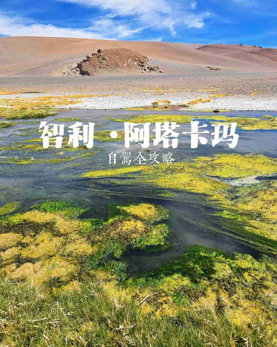 What's the Best Self-Guided Tour of Atacama Desert Wetlands on a Budget?