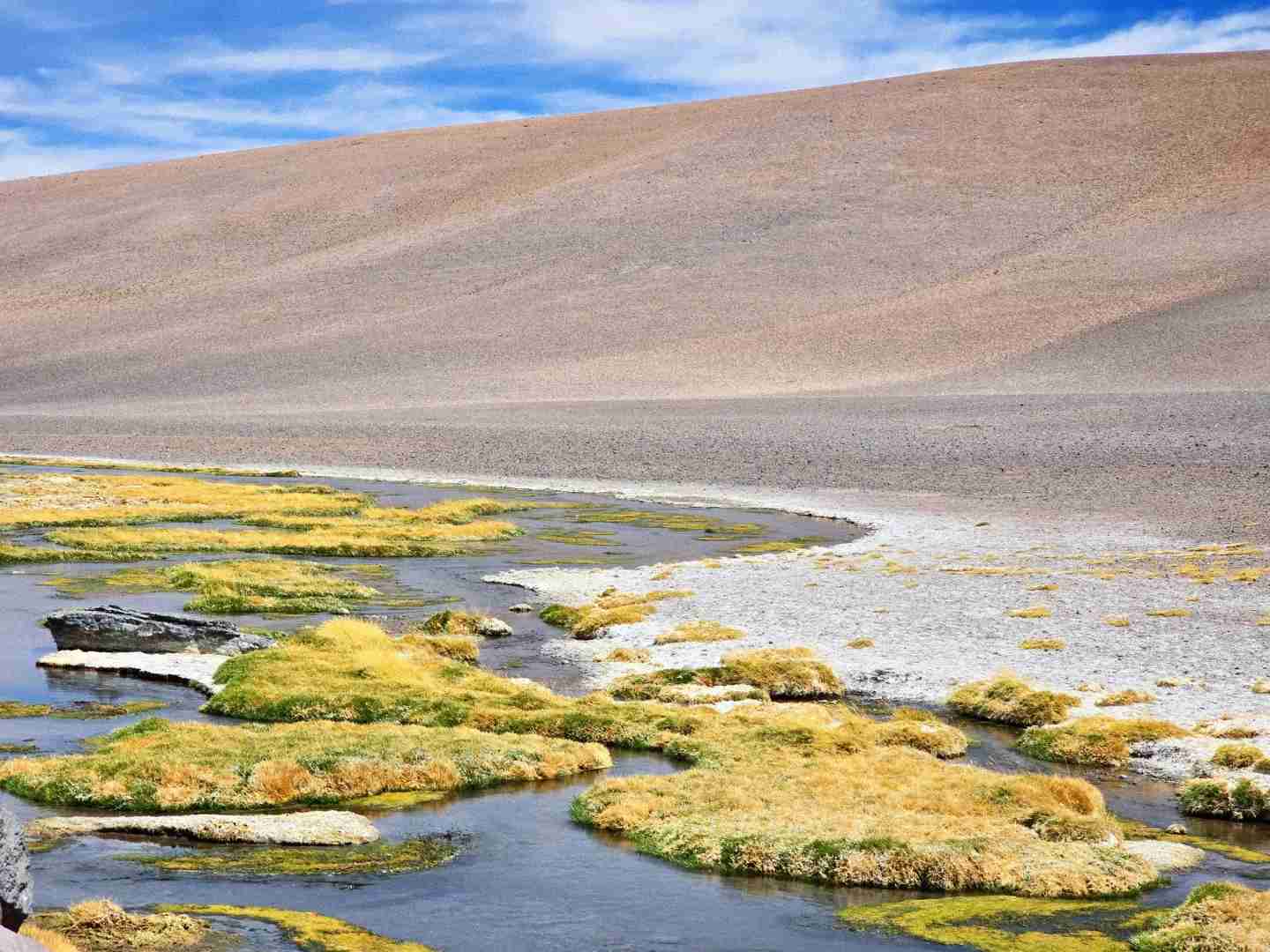 What's the Best Self-Guided Tour of Atacama Desert Wetlands on a Budget?