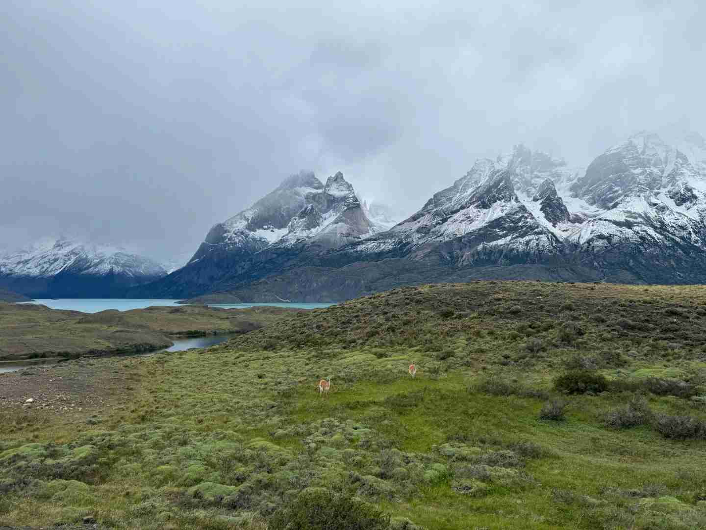 What's the Best Self-guided Tour Route for Torres del Paine on a Budget?