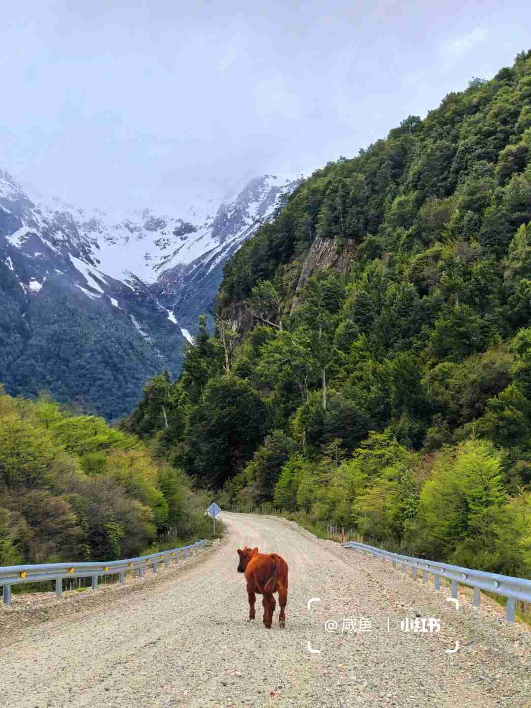 What's the Best Self-guided Tour Route on Chile's Southern Highway?