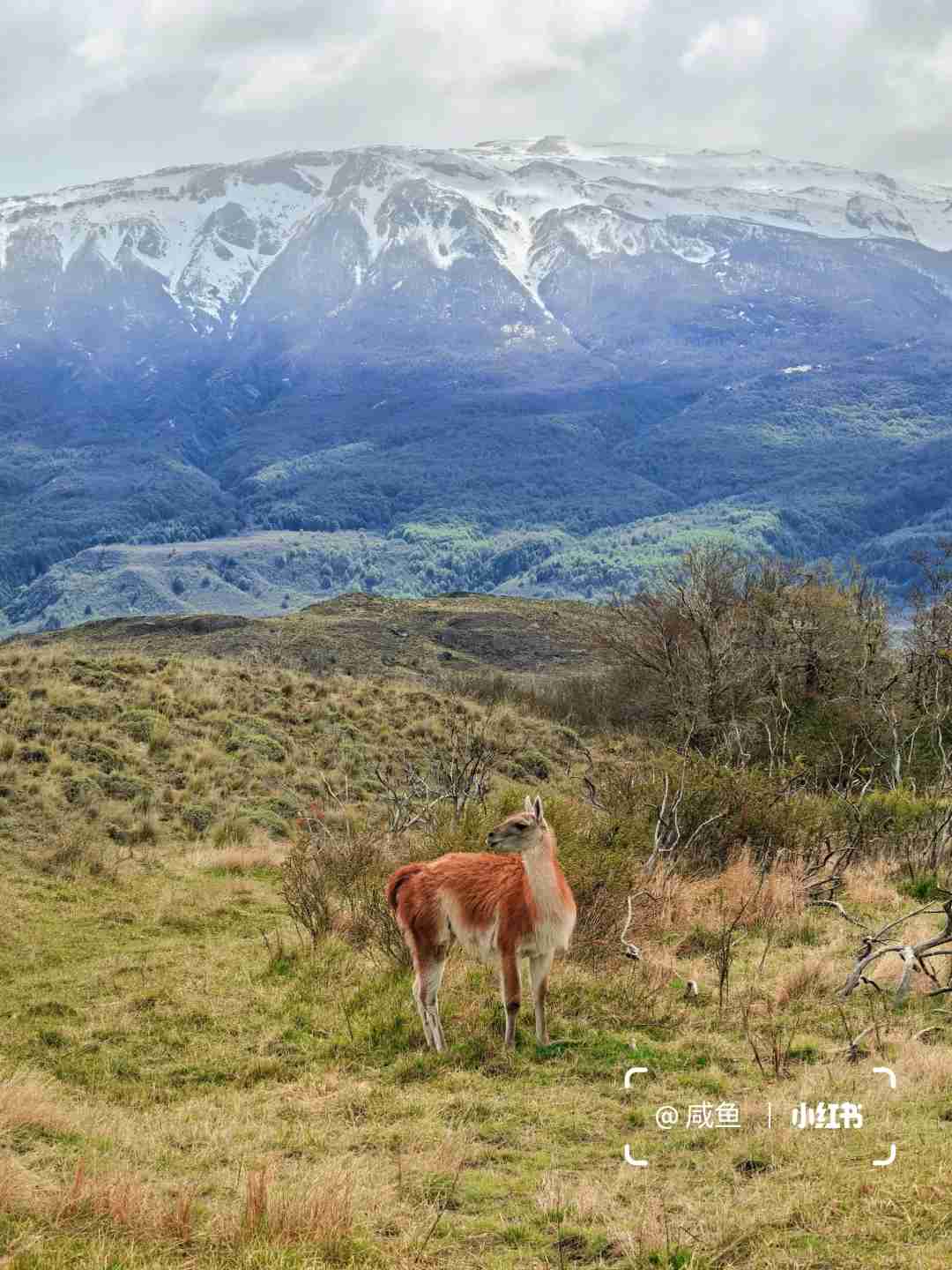 What's the Best Self-guided Tour Route on Chile's Southern Highway?