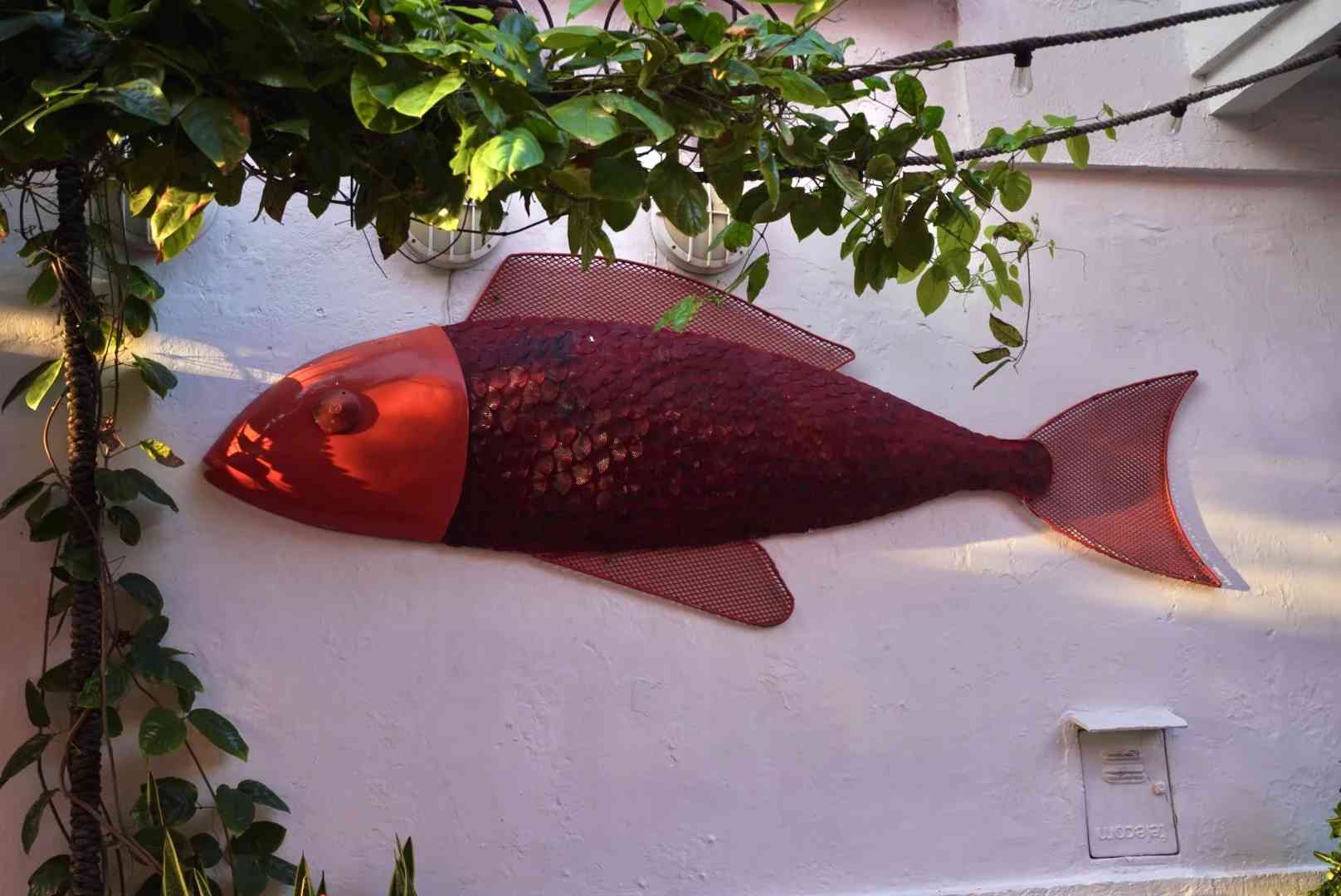 Onde Apreciar Arroz Frito com Lagosta Delicioso no Mercado Local de Cartagena