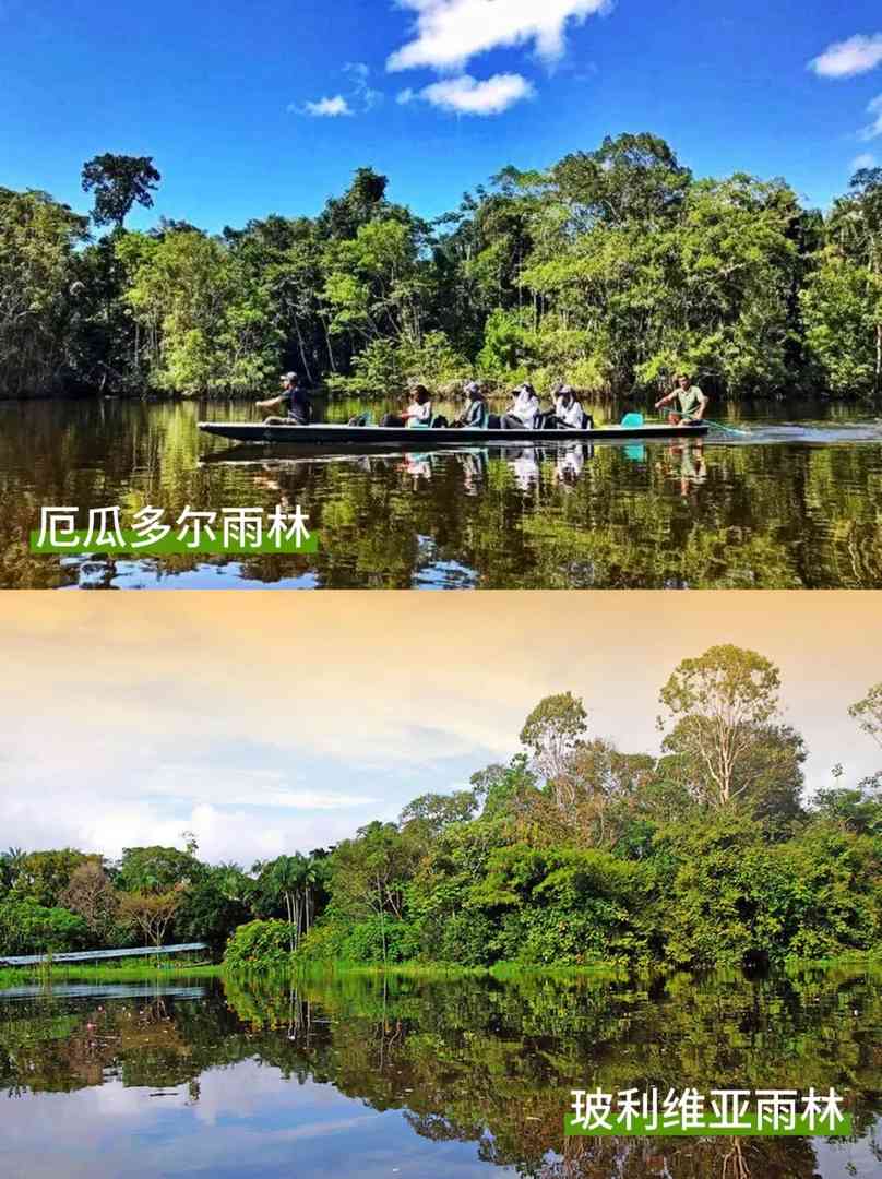 Which Country to Choose for an Amazon Rainforest Adventure: Quick Guide
