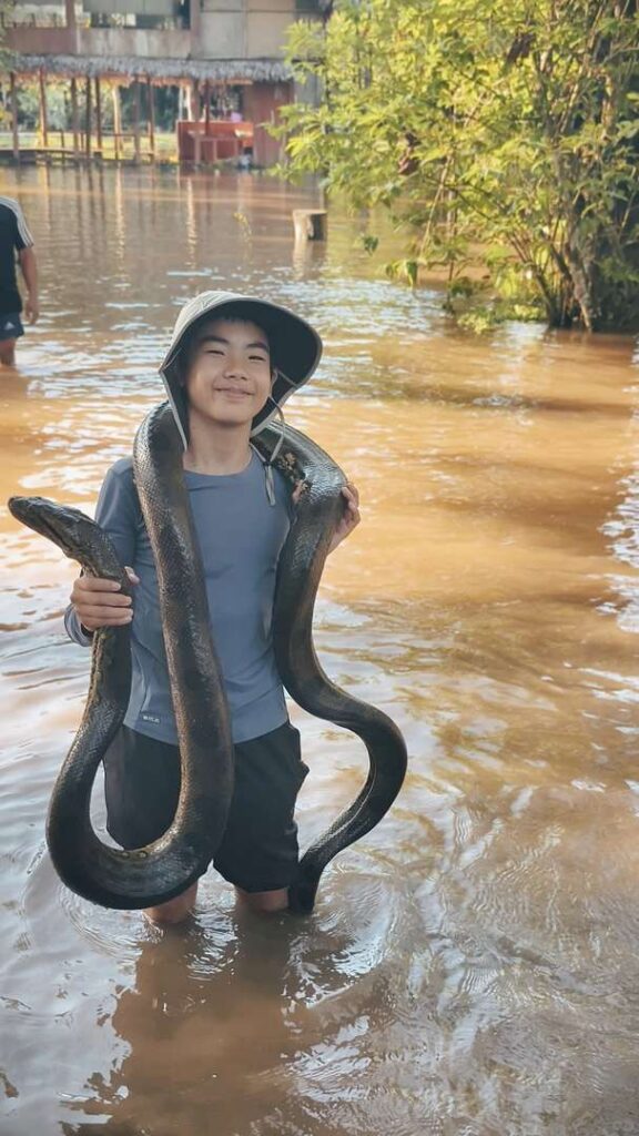 Who Should Avoid Visiting the Amazon Rainforest: A Detailed Guide