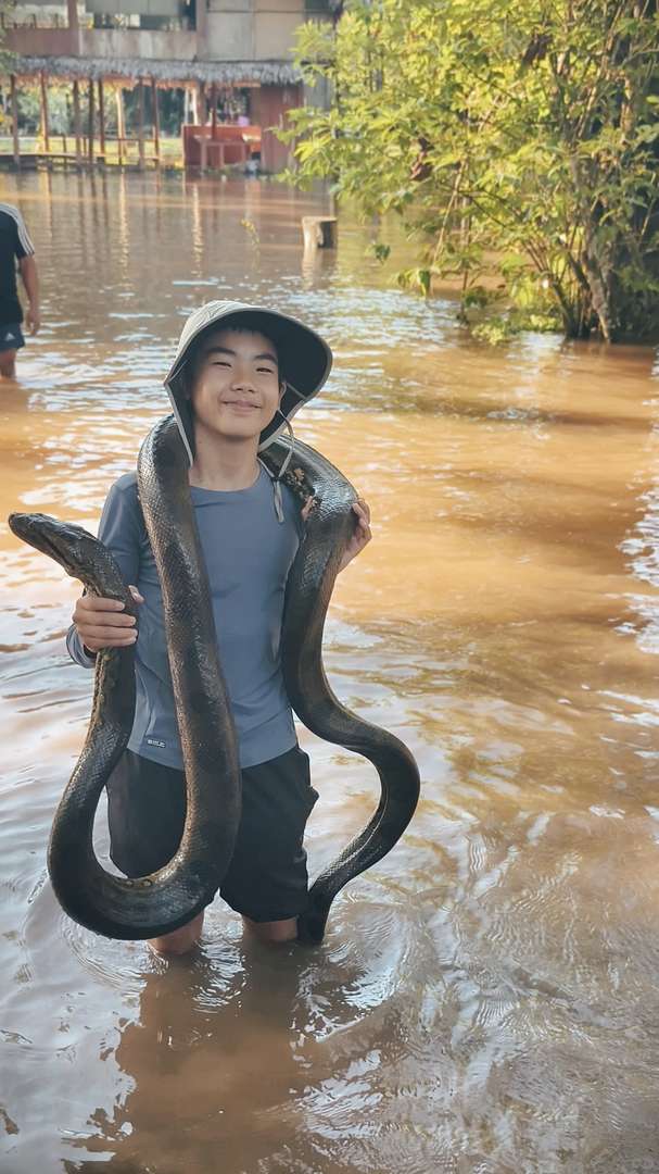 Who Should Avoid Visiting the Amazon Rainforest: A Detailed Guide