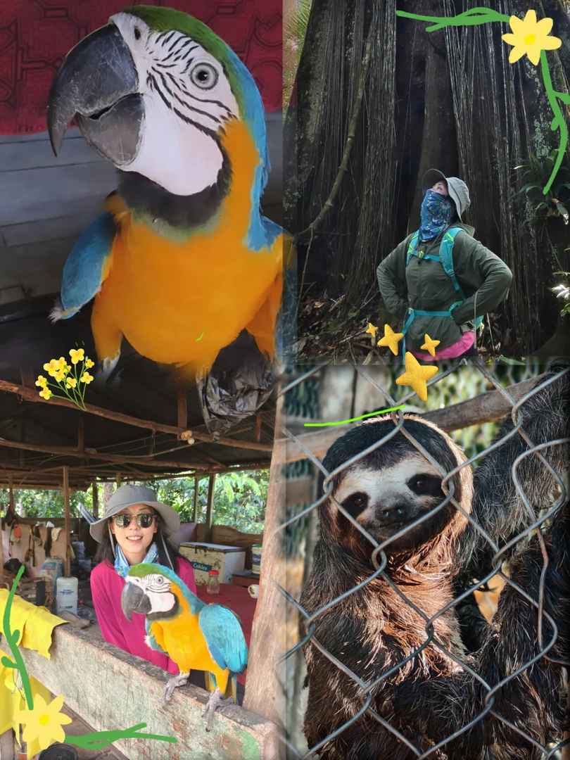 Who Should Avoid Visiting the Amazon Rainforest: A Detailed Guide