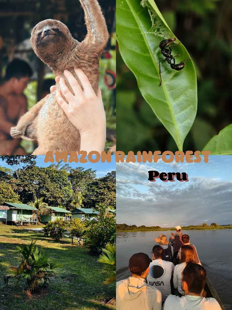 Who Should Avoid Visiting the Amazon Rainforest: A Detailed Guide