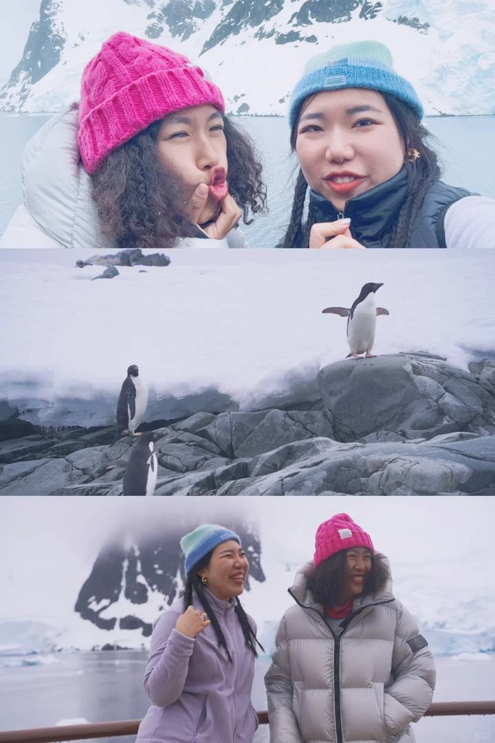 Why Does Antarctica Travel Cost So Much Yet I Spent Only $30K?