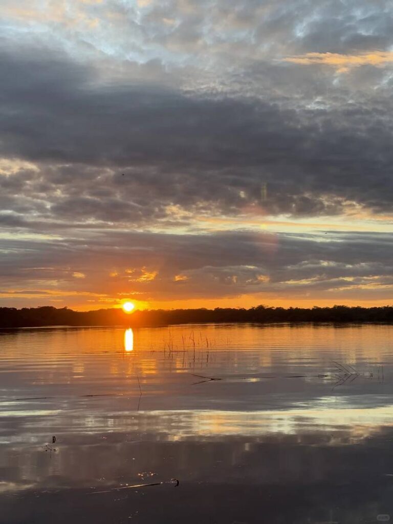 Why You Might Regret Visiting the Amazon Rainforest: A Traveler’s Perspective