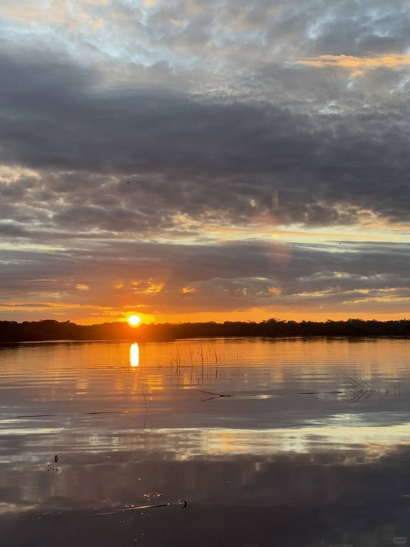 Why You Might Regret Visiting the Amazon Rainforest: A Traveler's Perspective