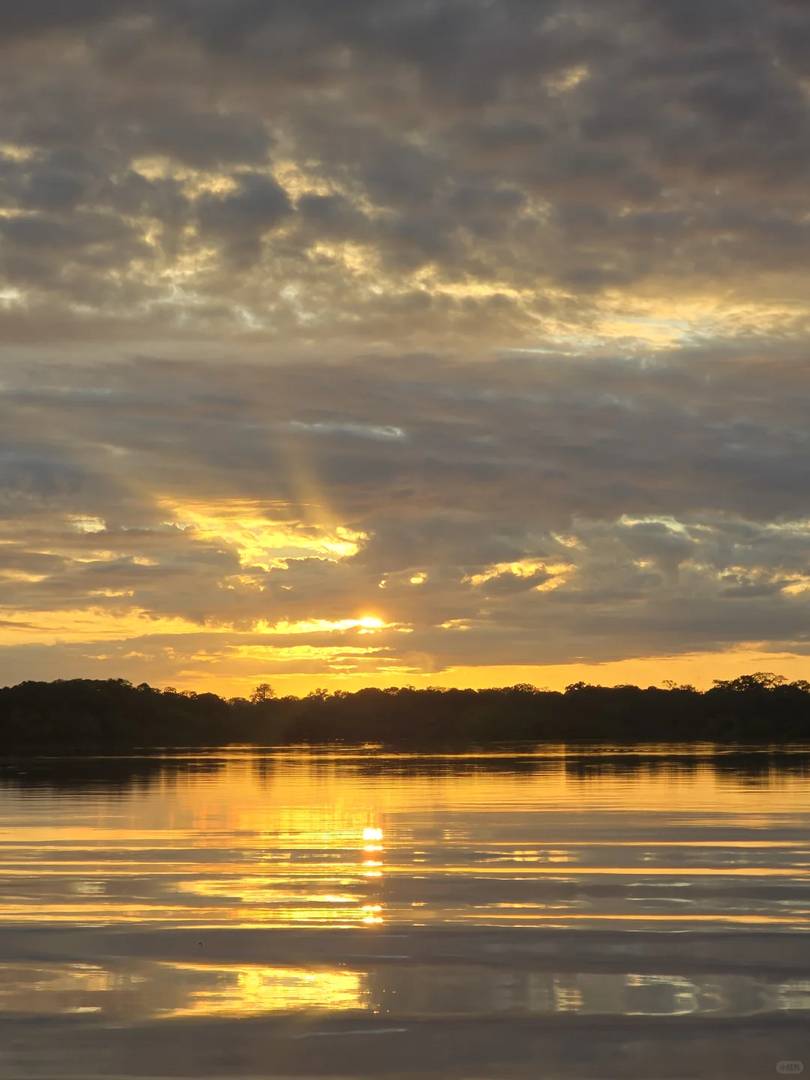 Why You Might Regret Visiting the Amazon Rainforest: A Traveler's Perspective