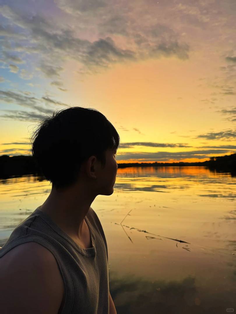 Why You Might Regret Visiting the Amazon Rainforest: A Traveler's Perspective