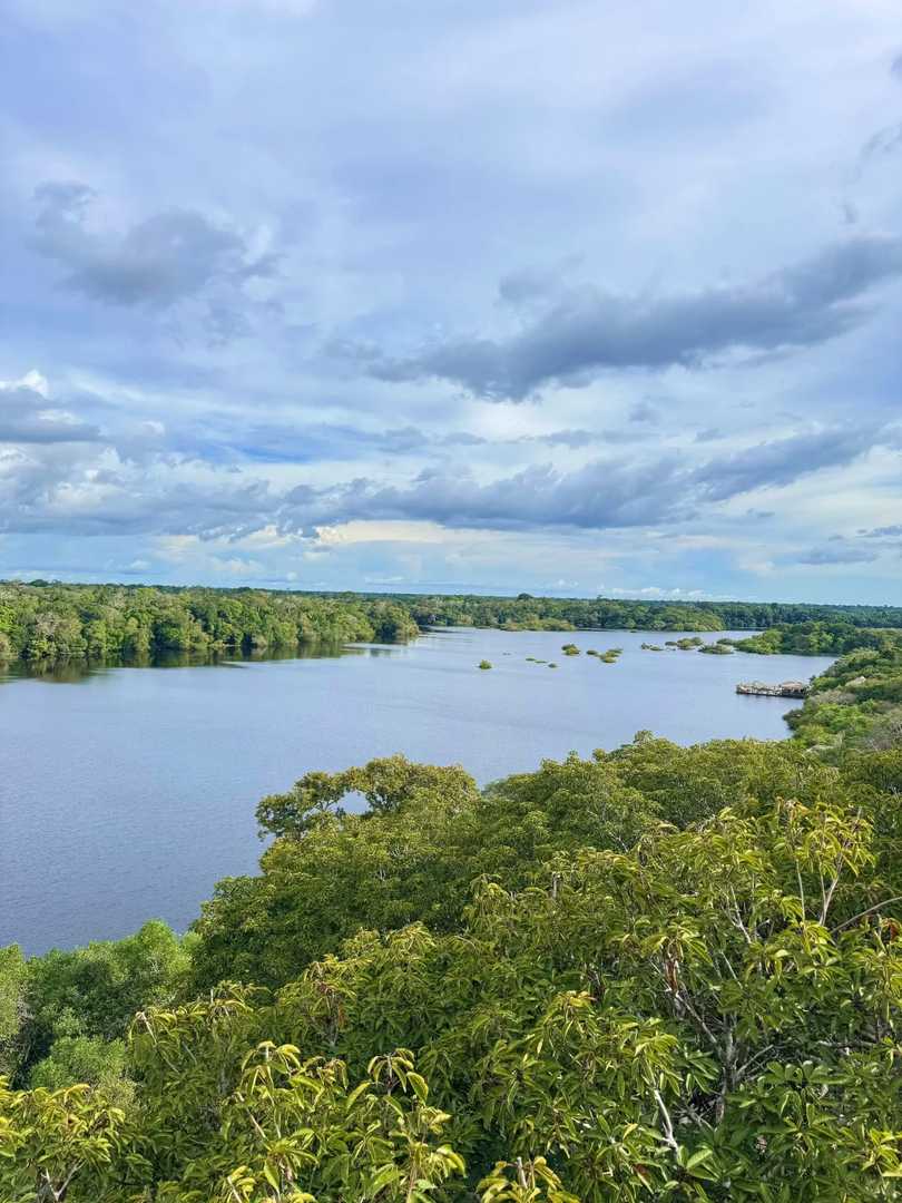Why You Might Regret Visiting the Amazon Rainforest: A Traveler's Perspective