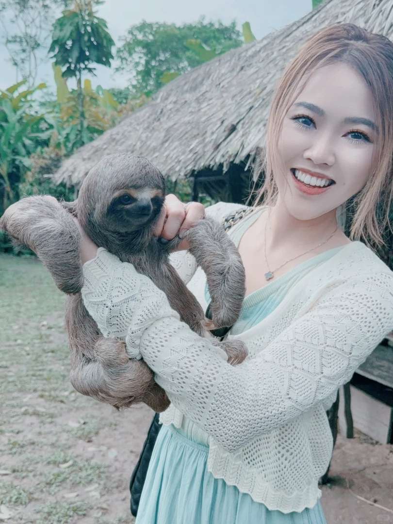 Why the Amazon Rainforest is Ideal for Seeing Sloths | Healing Experience