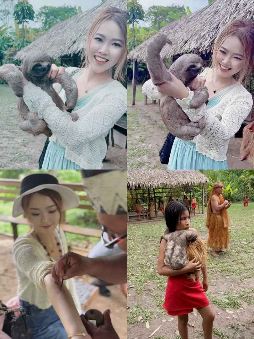 Why the Amazon Rainforest is Ideal for Seeing Sloths | Healing Experience