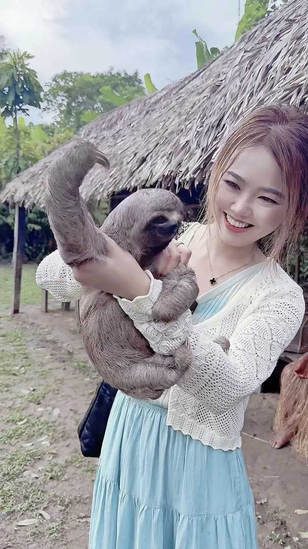 Why the Amazon Rainforest is Ideal for Seeing Sloths | Healing Experience