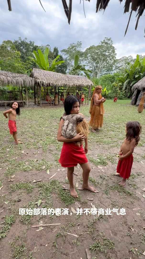 Why the Amazon Rainforest is Ideal for Seeing Sloths | Healing Experience