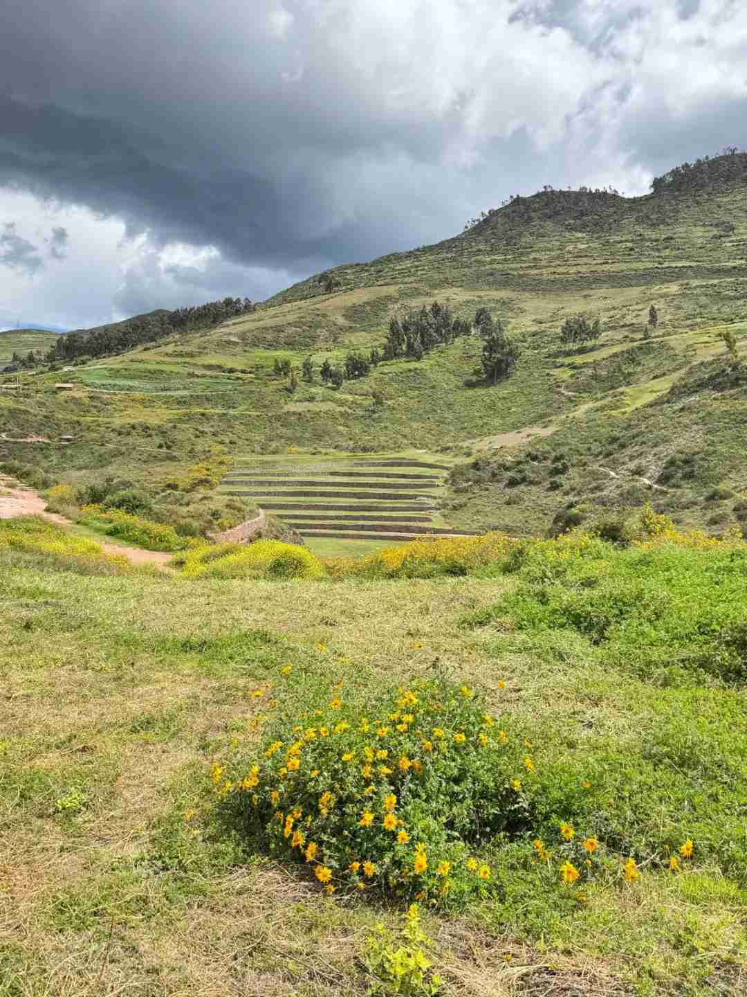 Dicas de Viagem de 8 Dias ao Peru: Ingressos para Machu Picchu, Encefalopatia por Altitude e Conselhos sobre a Gastronomia Local