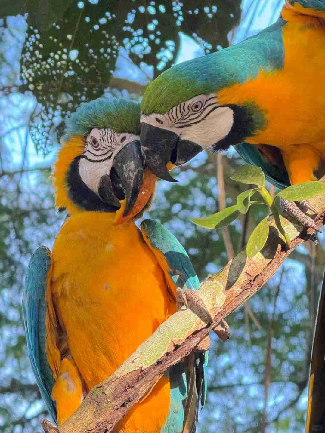 Conseils pour un voyage de 8 jours au Pérou depuis Toronto : billets de Machu Picchu, nourriture et ajustements à l'altitude