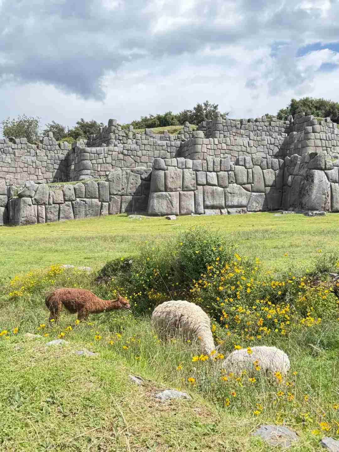 ペルー8日間旅行のヒント:マチュピチュのチケット、高度順応、地元料理に関するアドバイス