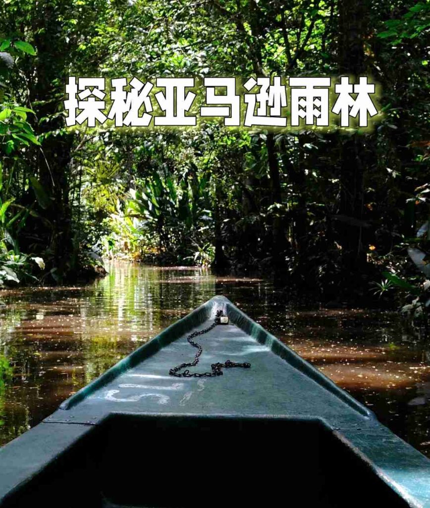 Journée d'aventure dans la forêt amazonienne : exploration de la faune et rencontres mystérieuses au lac