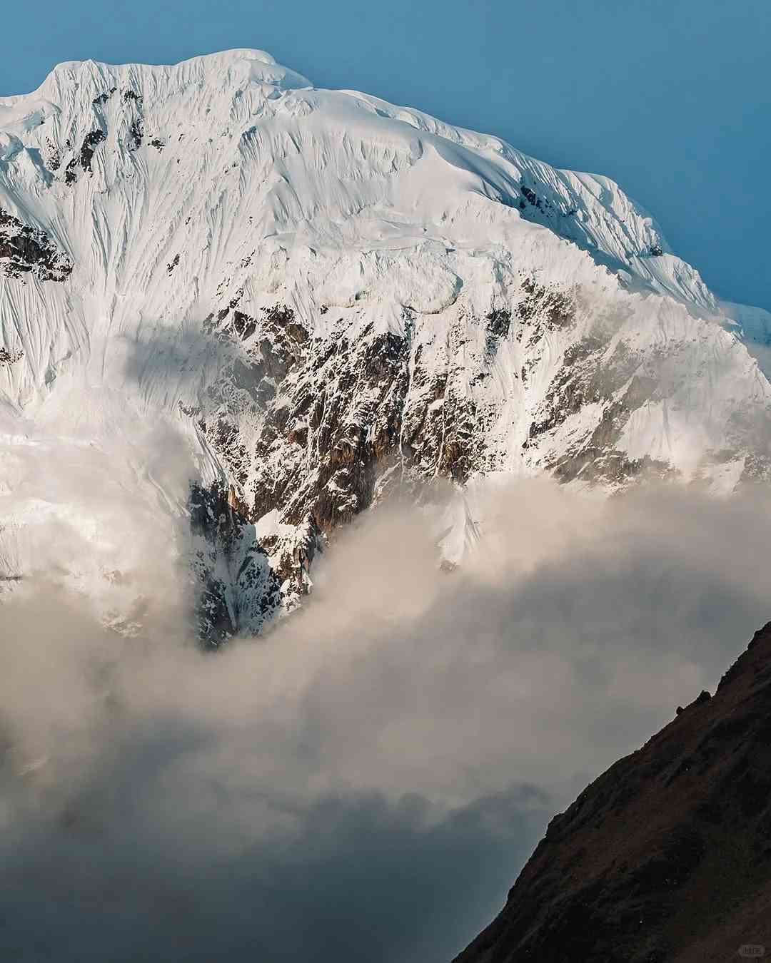 ペルーの雪山と熱帯雨林を巡る5日間のサルカンタイトレッキング探検