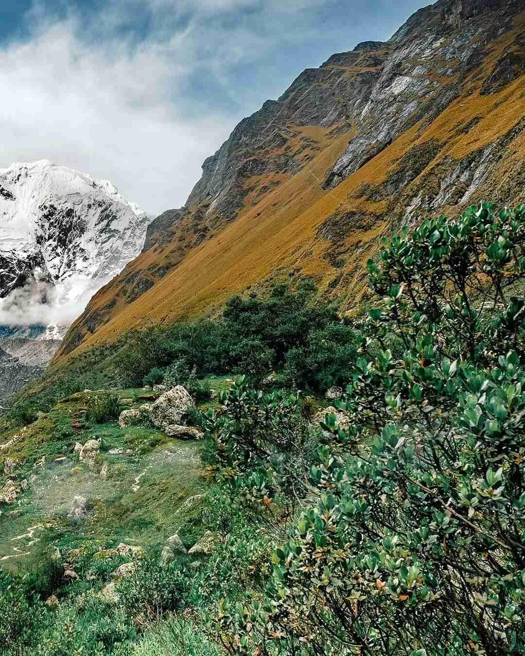 ペルーの雪山と熱帯雨林を巡る5日間のサルカンタイトレッキング探検