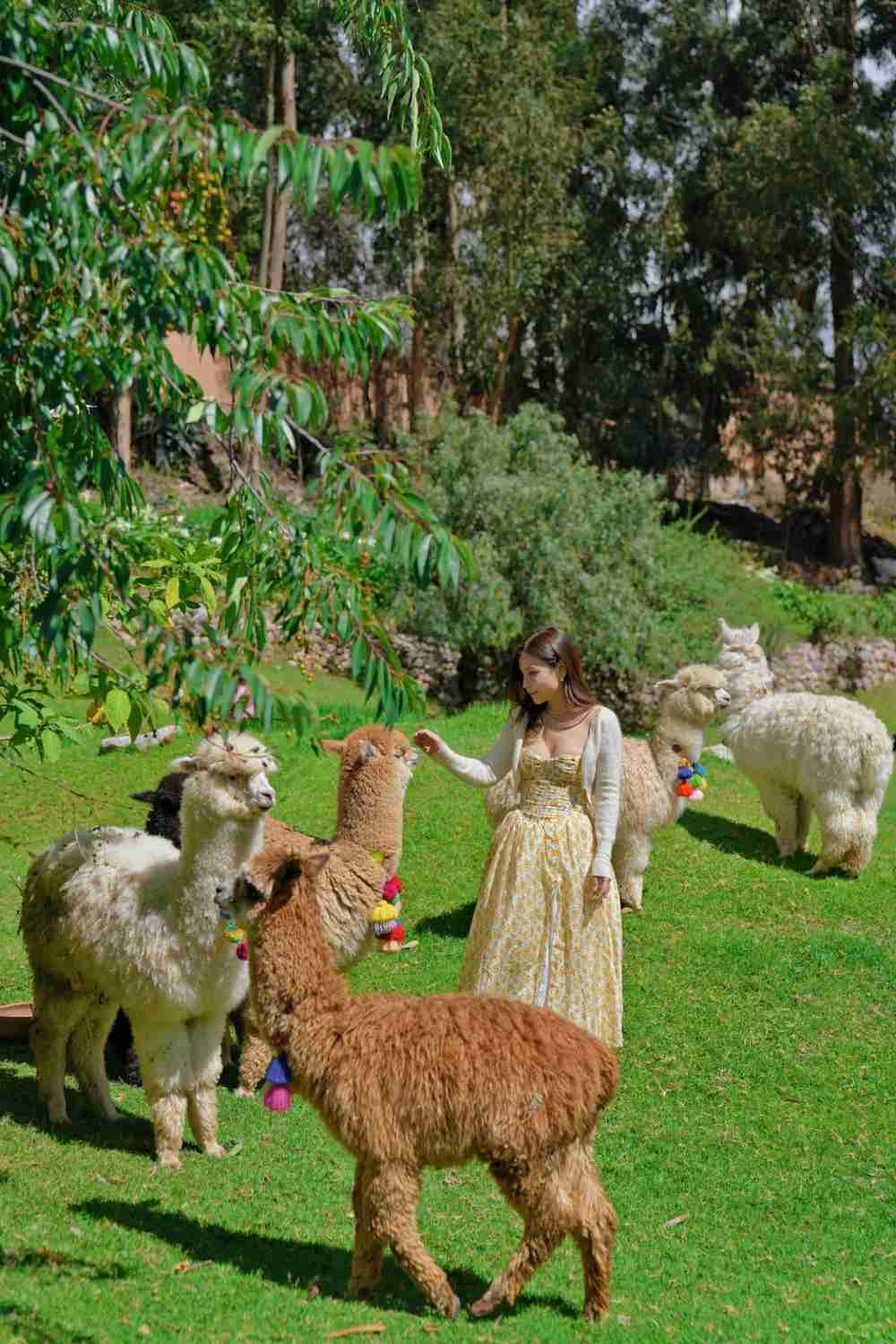 Roteiro Familiar no Peru: Cusco, Vale Sagrado e Experiências com a Gastronomia Local