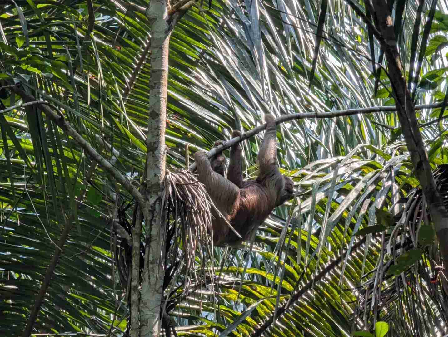 -Itinéraire Pérou : Lima, Cusco, Machu Picchu et aventure en forêt amazonienne