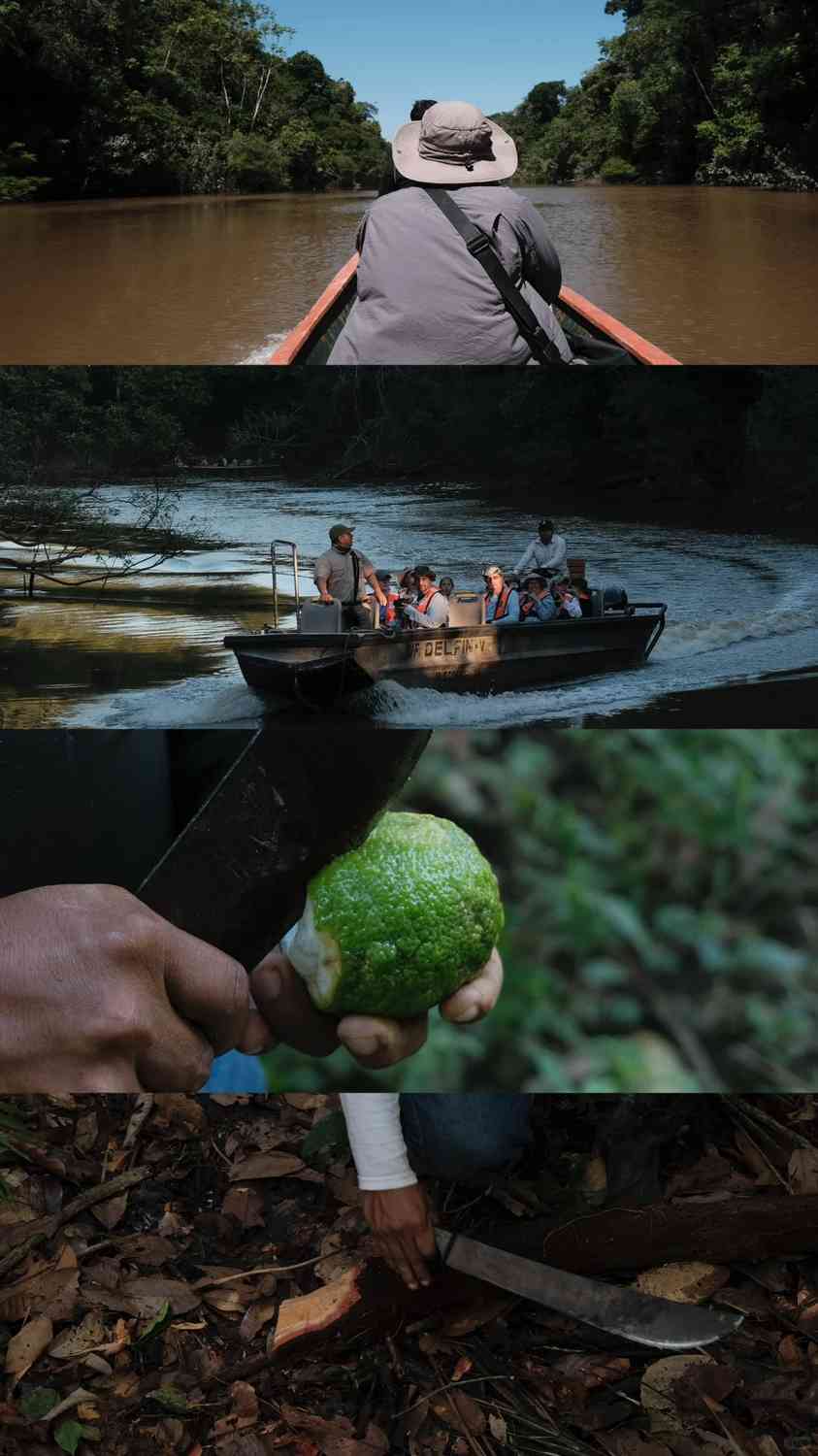 Explorar a Floresta Amazônica no Peru: Aventura de 3 Dias em Lodge com o Guia Local Larry