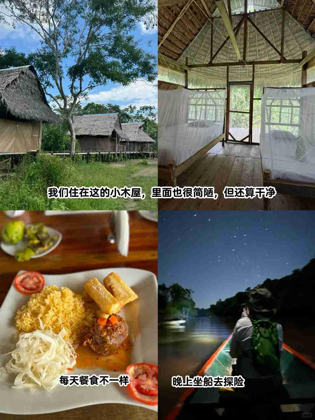 Explorar a Floresta Amazônica no Peru: Aventura de 3 Dias em Lodge com o Guia Local Larry