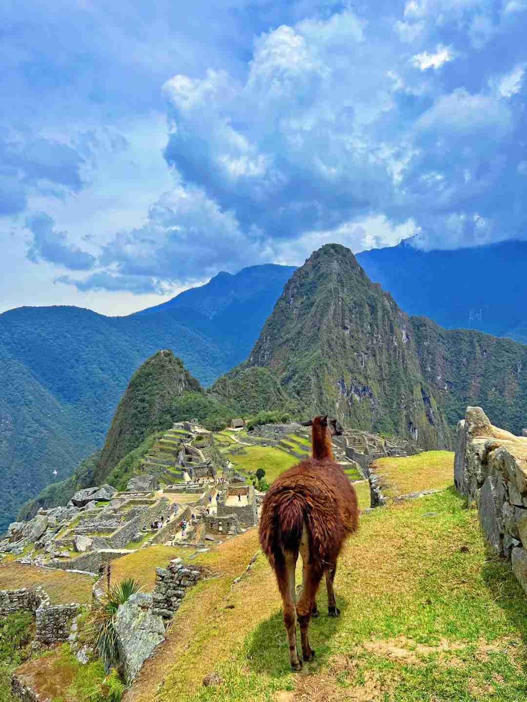 Открывая мой любимый южноамериканский регион: Перу 🇵🇪 — от Мачу Пикчу до амазонского дождевого леса