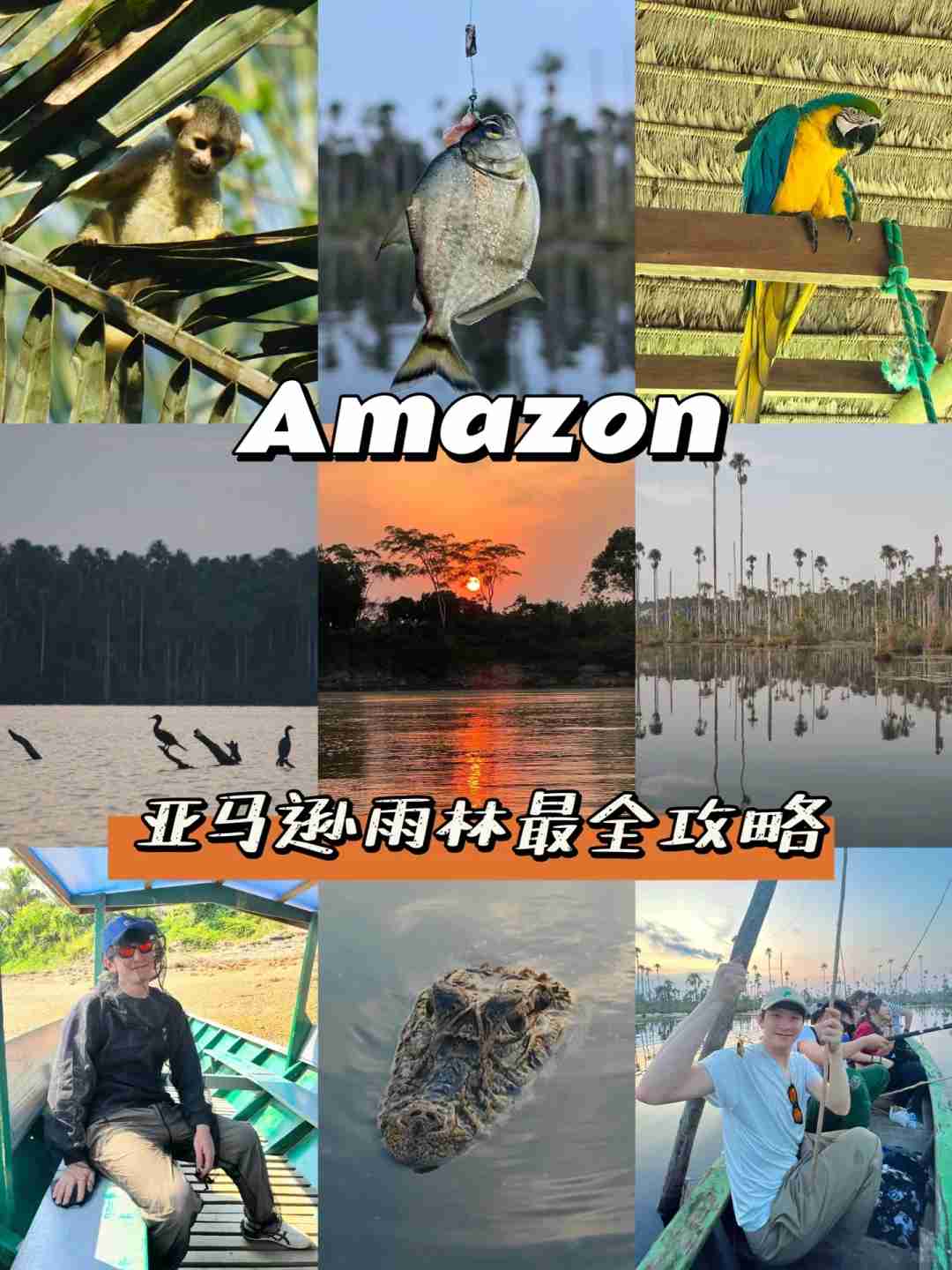 Guide de voyage en forêt amazonienne péruvienne : Iquitos contre Maldonado, circuits et conseils essentiels