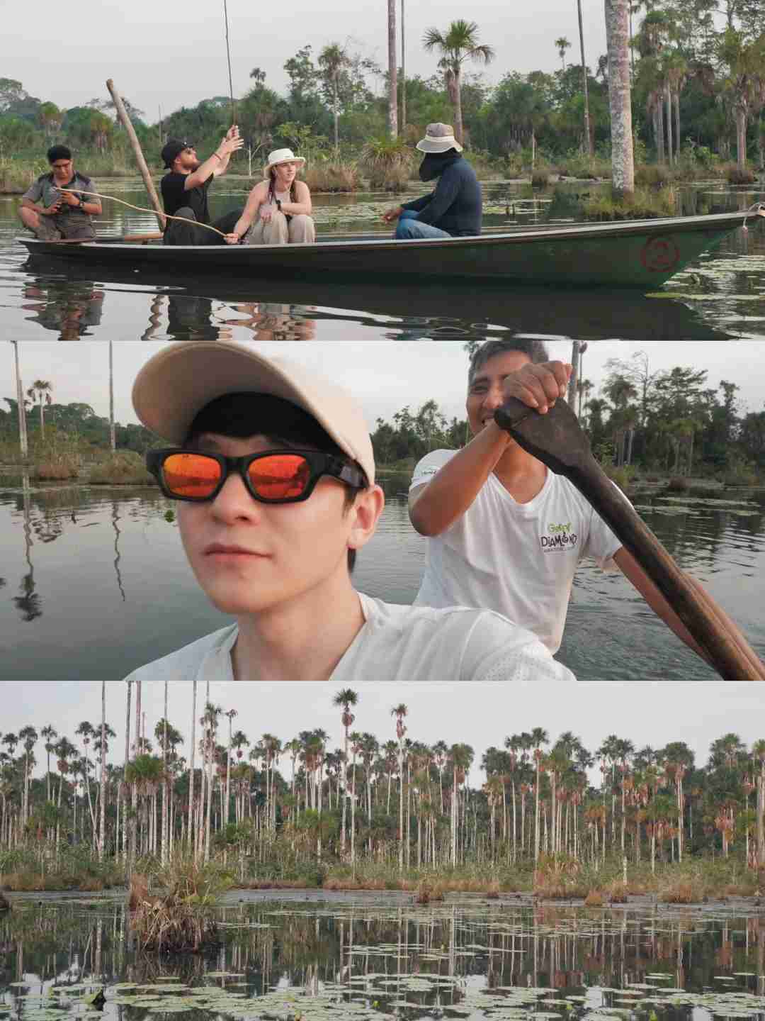 Guide de voyage en forêt amazonienne péruvienne : Iquitos contre Maldonado, circuits et conseils essentiels