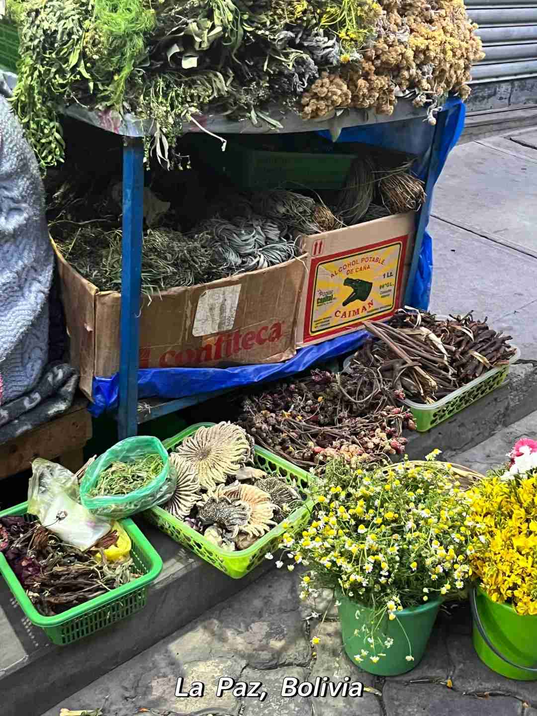 -Jour Aventure Sud-américaine : Pérou, Bolivie et Chili Exploration Culturelle
