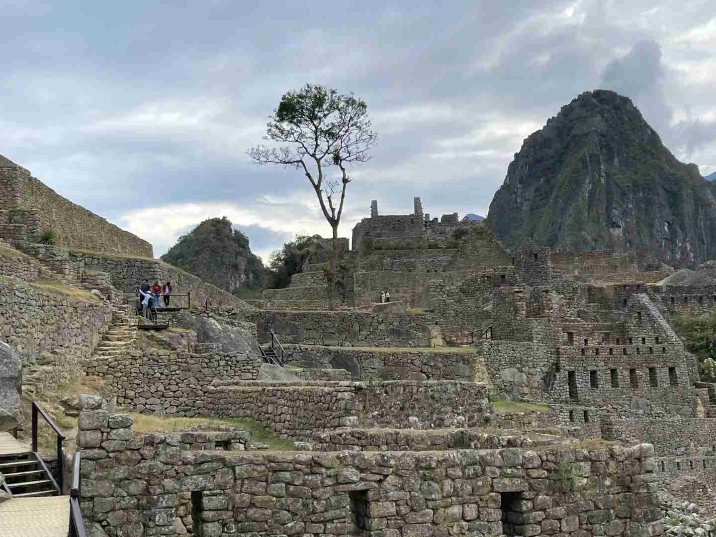 Partage d'expériences de voyage au Pérou : exploration de Machu Picchu, Cusco et les lignes de Nazca