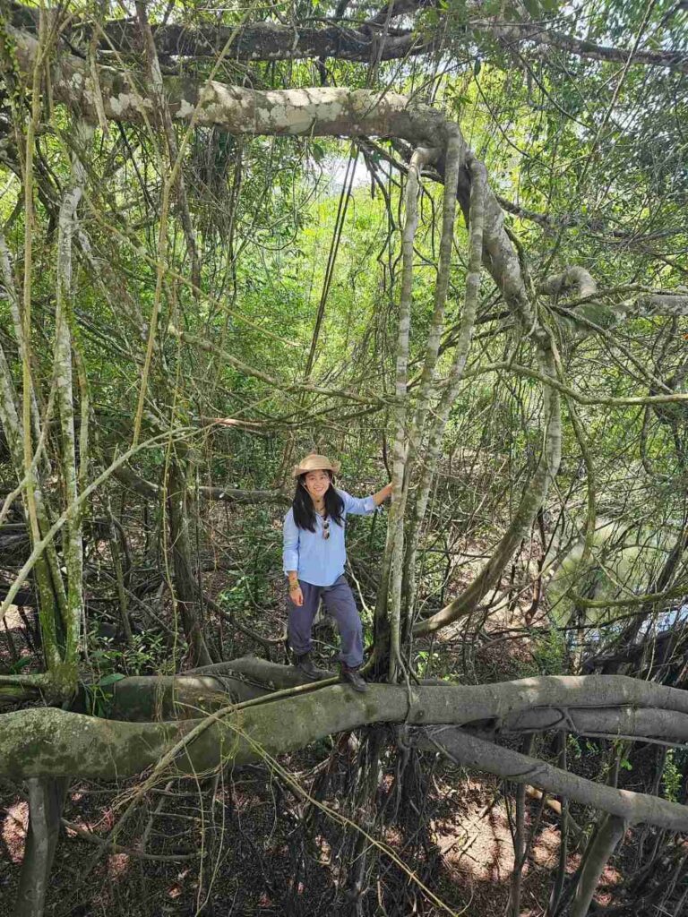 Leticia Amazon Rainforest Adventure: 2D1N Trip for $340 – Expect Heat, Bugs, and Unique Experiences