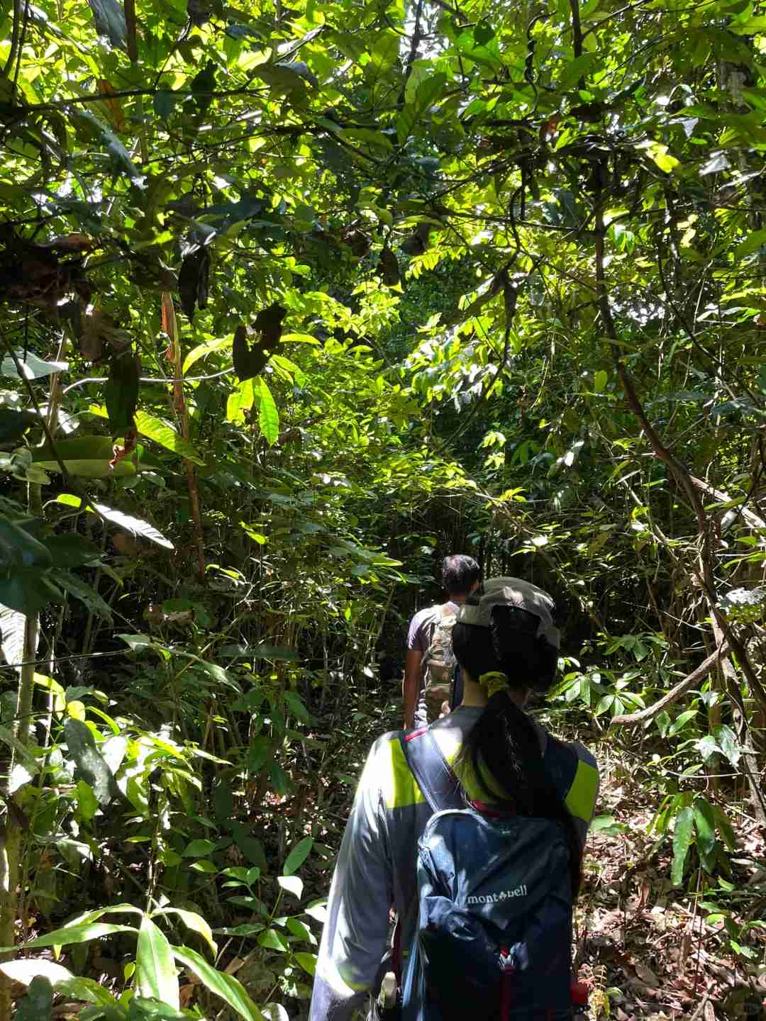 Aventure dans la forêt amazonienne de Leticia : excursion de 2 jours et 1 nuit pour 340 dollars - Préparez-vous à la chaleur, aux insectes et à des expériences uniques.