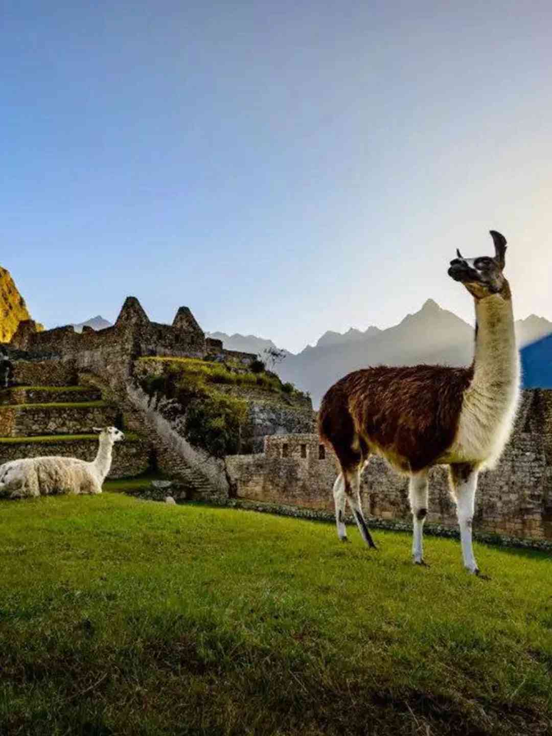 دليل السفر إلى بيرو: الأمور التي يجب معرفتها قبل السفر في أبريل