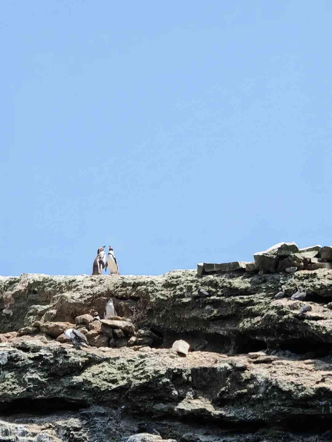 Discover Hidden Peruvian Gems: Paracas Island and Huacachina Adventure