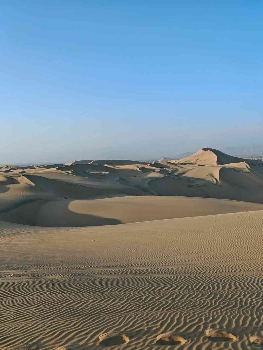 Discover Hidden Peruvian Gems: Paracas Island and Huacachina Adventure